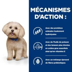 Hill's Prescription Diet Canine Z/D MINI AB+ 1 Kg 11 Hill's Prescription Diet Canine Z/D MINI AB+ 1 Kg -Animaux Fournitures Magasin 52742045245 4 prescription diet chien z d mini croquettes