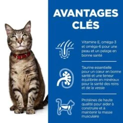 Hill's Science Plan Feline Adult Poulet 3 Kg 13 Hill's Science Plan Feline Adult Poulet 3 Kg -Animaux Fournitures Magasin 52742629100 3 science plan chat 1 1