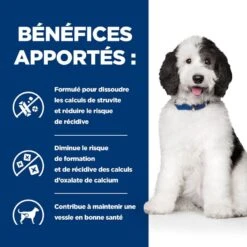 Hill's Prescription Diet Canine C/D Urinary Care Mijotés Au Poulet 12 X 354 Grs 9 Hill's Prescription Diet Canine C/D Urinary Care Mijotés Au Poulet 12 X 354 Grs -Animaux Fournitures Magasin 52742917603 4 prescription diet chien c d multicare croquettes poulet 3