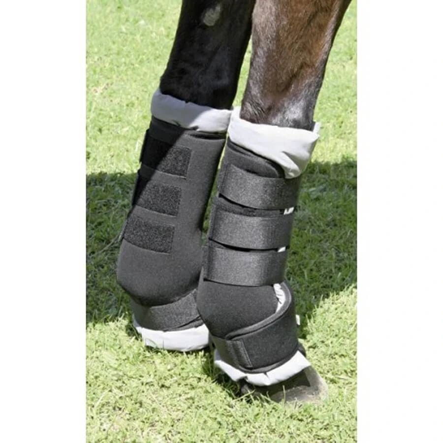 Kerbl Guêtre De Transport Pour Cheval Taille M - Pur Sang X 4 3 Kerbl Guêtre De Transport Pour Cheval Taille M - Pur Sang X 4