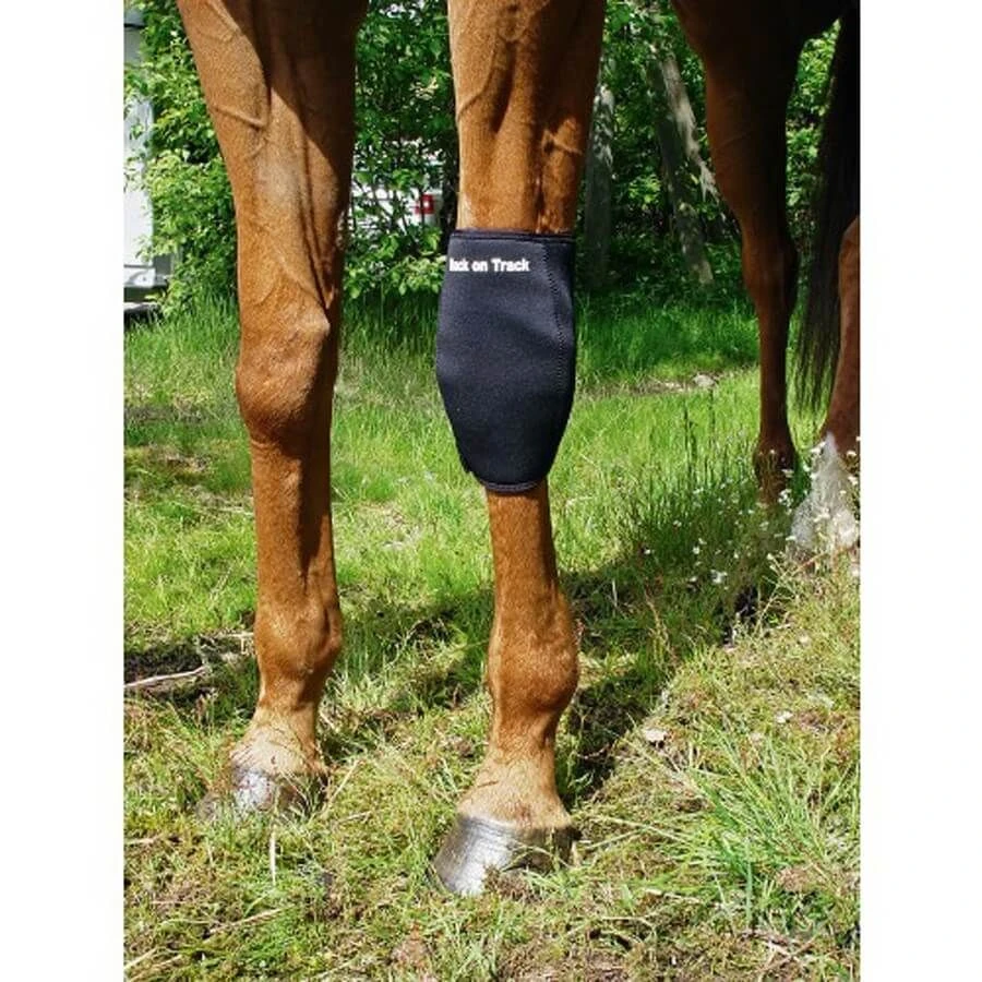 Back On Track Protège Genou Gauche Pour Cheval M 4 Back On Track Protège Genou Gauche Pour Cheval M – Image 2