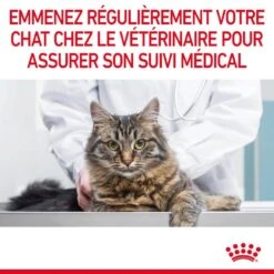 Royal Canin Féline Care Nutrition Hair & Skin Sauce 12 X 85 G 23 Royal Canin Féline Care Nutrition Hair & Skin Sauce 12 X 85 G -Animaux Fournitures Magasin 9003579022269 10