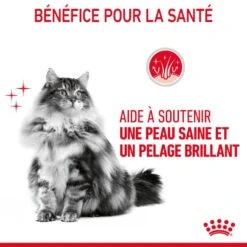 Royal Canin Féline Care Nutrition Hair & Skin Sauce 12 X 85 G 16 Royal Canin Féline Care Nutrition Hair & Skin Sauce 12 X 85 G -Animaux Fournitures Magasin 9003579022269 3