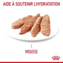 Royal Canin Féline Care Nutrition Hair & Skin Sauce 12 X 85 G 18 Royal Canin Féline Care Nutrition Hair & Skin Sauce 12 X 85 G -Animaux Fournitures Magasin 9003579022269 5