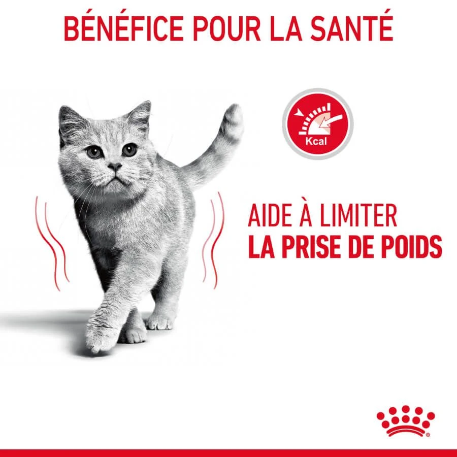 Royal Canin Féline Care Nutrition Light Gelée 12 X 85 G 7 Royal Canin Féline Care Nutrition Light Gelée 12 X 85 G – Image 5