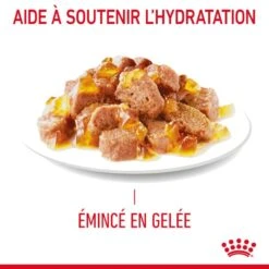 Royal Canin Féline Care Nutrition Light Gelée 12 X 85 G 20 Royal Canin Féline Care Nutrition Light Gelée 12 X 85 G -Animaux Fournitures Magasin 9003579311806 5