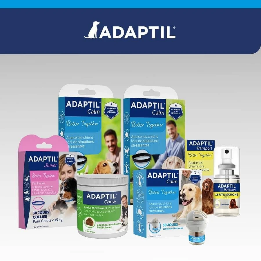 Adaptil Calm Diffuseur + Recharge 48 Ml (30 Jours) 12 Adaptil Calm Diffuseur + Recharge 48 Ml (30 Jours) – Image 10