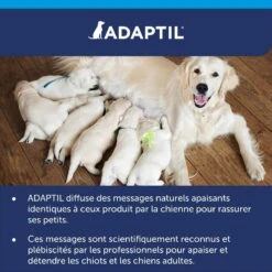 Adaptil Calm Diffuseur + Recharge 48 Ml (30 Jours) 20 Adaptil Calm Diffuseur + Recharge 48 Ml (30 Jours) -Animaux Fournitures Magasin adaptil calm diffuseur recharge 30 jours 48 ml 9