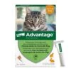 Advantage 40 Chat Et Lapin De 1 à 4 Kg 6 Pipettes 2 Advantage 40 Chat Et Lapin De 1 à 4 Kg 6 Pipettes -Animaux Fournitures Magasin advantage 40 chat et lapin de 1 4 kg pipettes x6