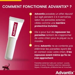 Advantix Grand Chien (25 - 40 Kg) - 6 Pipettes 15 Advantix Grand Chien (25 - 40 Kg) - 6 Pipettes -Animaux Fournitures Magasin advantix grand chien 25 40 kg 7 1