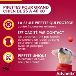 Advantix Grand Chien (25 - 40 Kg) - 6 Pipettes 11 Advantix Grand Chien (25 - 40 Kg) - 6 Pipettes -Animaux Fournitures Magasin advantix grand chien 25 40 kg 3 1