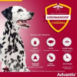 Advantix Grand Chien (25 - 40 Kg) - 6 Pipettes 12 Advantix Grand Chien (25 - 40 Kg) - 6 Pipettes -Animaux Fournitures Magasin advantix grand chien 25 40 kg 4 1