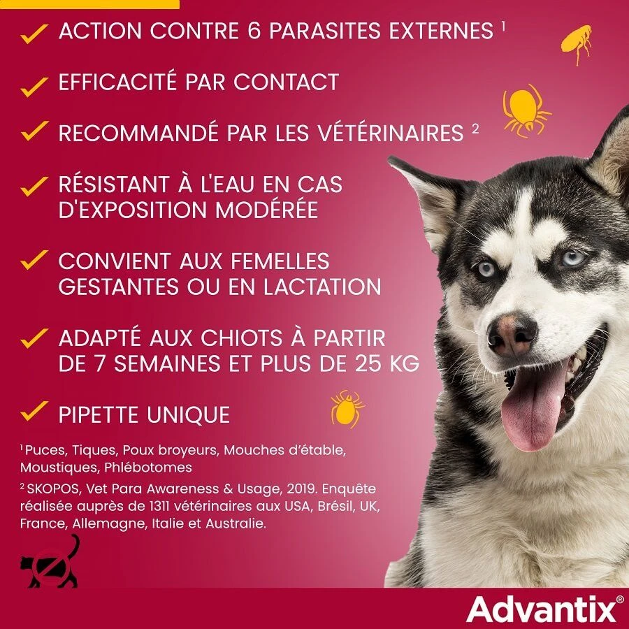 Advantix Grand Chien (25 - 40 Kg) - 6 Pipettes 7 Advantix Grand Chien (25 - 40 Kg) - 6 Pipettes – Image 5