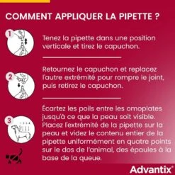 Advantix Grand Chien (25 - 40 Kg) - 6 Pipettes 14 Advantix Grand Chien (25 - 40 Kg) - 6 Pipettes -Animaux Fournitures Magasin advantix grand chien 25 40 kg 6 1