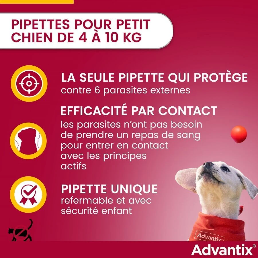 Advantix Petit Chien (4-10 Kg) - 4 Pipettes 5 Advantix Petit Chien (4-10 Kg) - 4 Pipettes – Image 3