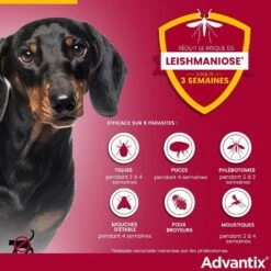 Advantix Petit Chien (4-10 Kg) - 4 Pipettes 12 Advantix Petit Chien (4-10 Kg) - 4 Pipettes -Animaux Fournitures Magasin advantix petit chien 4 10 kg 4