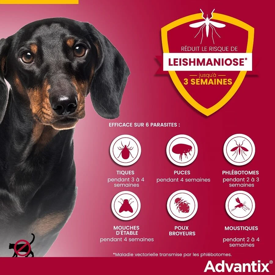 Advantix Petit Chien (4-10 Kg) - 4 Pipettes 6 Advantix Petit Chien (4-10 Kg) - 4 Pipettes – Image 4