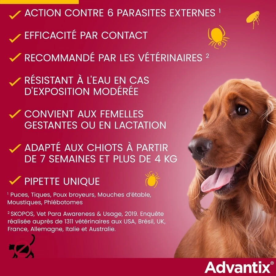 Advantix Petit Chien (4-10 Kg) - 4 Pipettes 7 Advantix Petit Chien (4-10 Kg) - 4 Pipettes – Image 5