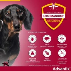 Advantix Très Petit Chien (1,5-4 Kg) - 4 Pipettes 12 Advantix Très Petit Chien (1,5-4 Kg) - 4 Pipettes -Animaux Fournitures Magasin advantix tr s petit chien 1 5 4 kg 4