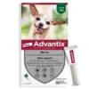Advantix Très Petit Chien (1,5-4 Kg) - 4 Pipettes 1 Advantix Très Petit Chien (1,5-4 Kg) - 4 Pipettes -Animaux Fournitures Magasin advantix tr s petit chien 1 5 4 kg 4 pipettes