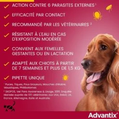 Advantix Très Petit Chien (1,5-4 Kg) - 4 Pipettes 13 Advantix Très Petit Chien (1,5-4 Kg) - 4 Pipettes -Animaux Fournitures Magasin advantix tr s petit chien 1 5 4 kg 5