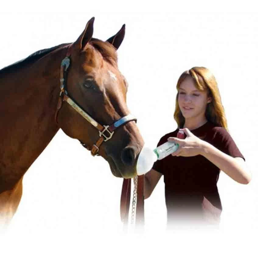 AeroHippus Pour Inhalateur Cheval 5 AeroHippus Pour Inhalateur Cheval – Image 3