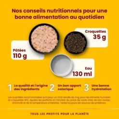 Almo Nature Chat Natural HFC Thon Crevette 24 X 70 G 10 Almo Nature Chat Natural HFC Thon Crevette 24 X 70 G -Animaux Fournitures Magasin alc5023h slide 04 fr 1