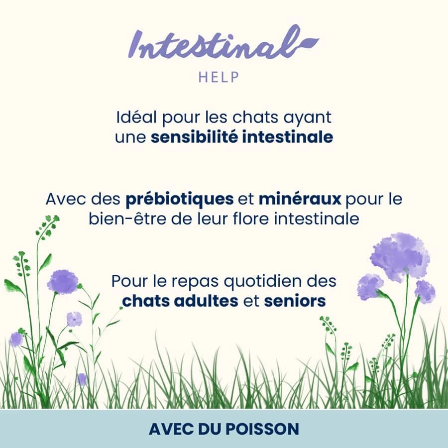 Almo Nature Chat Functional Instestinal Poisson 30 X 70 G 4 Almo Nature Chat Functional Instestinal Poisson 30 X 70 G – Image 2