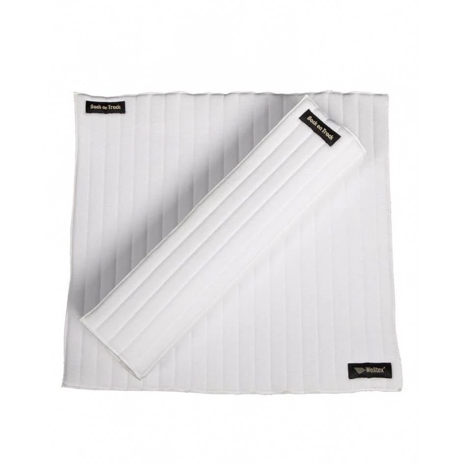 Back On Track Sous Bandes Scandic Cheval Blanc 40 X 40 Cm 3 Back On Track Sous Bandes Scandic Cheval Blanc 40 X 40 Cm