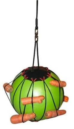 Balle à Jouer Thérapeutique Pour Chevaux 8 Balle à Jouer Thérapeutique Pour Chevaux -Animaux Fournitures Magasin balle box 4