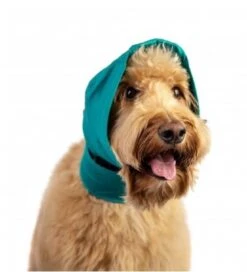 Bandage Oreille No Flap Pour Chien XL