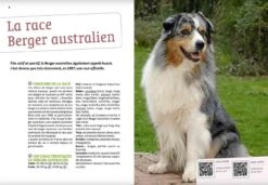 Livre - Bien Vivre Avec Mon Berger Australien 8 Livre - Bien Vivre Avec Mon Berger Australien -Animaux Fournitures Magasin bien vivre avec mon berger australien3
