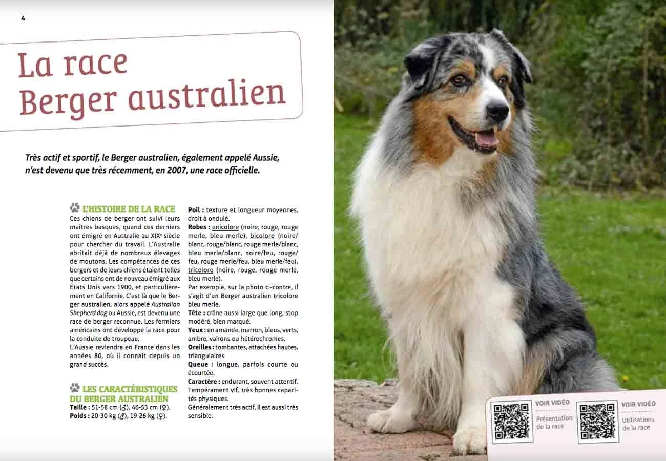 Livre - Bien Vivre Avec Mon Berger Australien 5 Livre - Bien Vivre Avec Mon Berger Australien – Image 3
