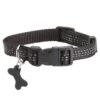 Bobby Collier Safe Noir Pour Chien XL 2 Bobby Collier Safe Noir Pour Chien XL -Animaux Fournitures Magasin bobby collier safe noir pour chien xl