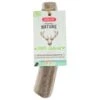Zolux Bois De Cerf Puppy 14-16 Cm 2 Zolux Bois De Cerf Puppy 14-16 Cm -Animaux Fournitures Magasin bois de cerf naturel a mastiquer puppy pour chiots zolux package
