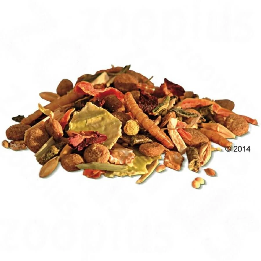 Bunny Rêve Basic Pour Hamster Nain 600 G 4 Bunny Rêve Basic Pour Hamster Nain 600 G – Image 2