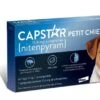 Capstar 11.4 Mg Petit Chien 2 Capstar 11.4 Mg Petit Chien -Animaux Fournitures Magasin capstarpetitchien 1