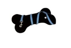 Croci Laisse Mylord Chien Bleu 120 Cm X 10 Mm