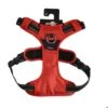 Bobby Harnais Rando Walk Rouge Pour Chien XL 1 Bobby Harnais Rando Walk Rouge Pour Chien XL -Animaux Fournitures Magasin capture d cran 2024 09 18 141111 4