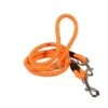 Bobby Laisse D'entraînement Walk Chien Orange 1,2 X 189 Cm 1 Bobby Laisse D'entraînement Walk Chien Orange 1,2 X 189 Cm -Animaux Fournitures Magasin capture d cran 2024 09 19 102630