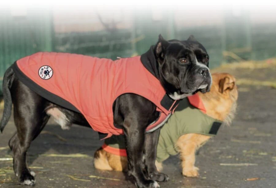 Bobby Manteau Costaud Chien Bleu Nuit 52 Cm 4 Bobby Manteau Costaud Chien Bleu Nuit 52 Cm – Image 2