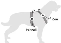 Cani Gear Harnais Symbioz Chien Bleu XL 10 Cani Gear Harnais Symbioz Chien Bleu XL -Animaux Fournitures Magasin capture d cran 2024 11 18 143652 5