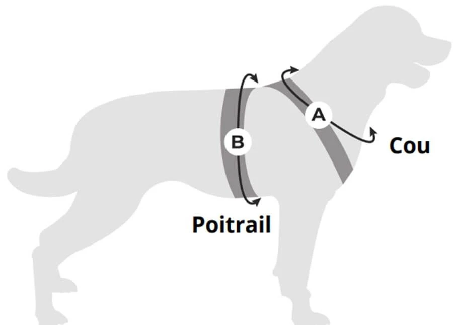 Cani Gear Harnais Symbioz Chien Bleu XL 5 Cani Gear Harnais Symbioz Chien Bleu XL – Image 3