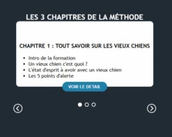 Prenez Soin De Votre Vieux Chien - Formation En Ligne Esprit Dog 9 Prenez Soin De Votre Vieux Chien - Formation En Ligne Esprit Dog -Animaux Fournitures Magasin capture d cran 2025 02 13 163311