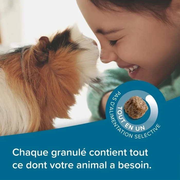 Care+ Cochon D'Inde 1.5 Kg 6 Care+ Cochon D'Inde 1.5 Kg – Image 4