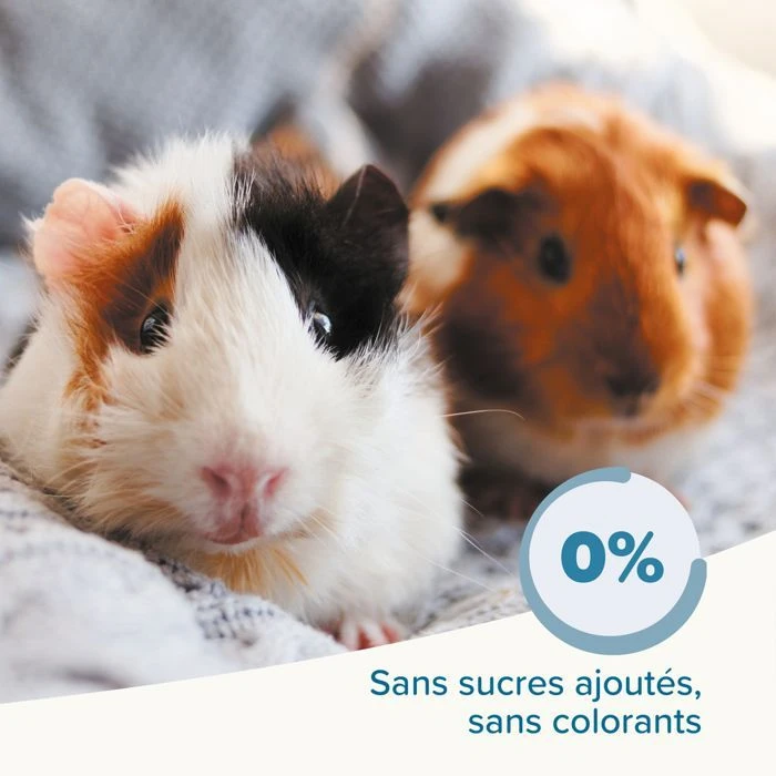 Care+ Cochon D'Inde 1.5 Kg 8 Care+ Cochon D'Inde 1.5 Kg – Image 6