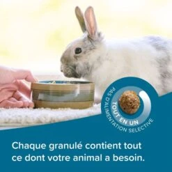 Care+ Lapin 1.5 Kg 15 Care+ Lapin 1.5 Kg -Animaux Fournitures Magasin care lapin 1.5 kg 4