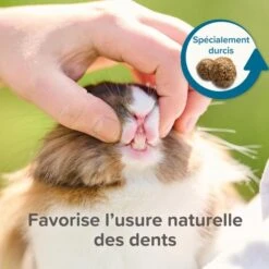 Care+ Lapin 5 Kg -Animaux Fournitures Magasin care lapin 7