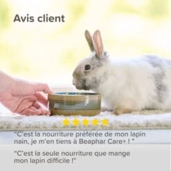 Care+ Lapin 5 Kg -Animaux Fournitures Magasin care lapin 8