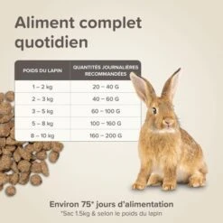 Care+ Lapin 5 Kg -Animaux Fournitures Magasin care lapin 9